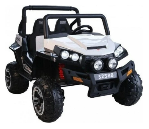 רייזר ממונע V24 RZR