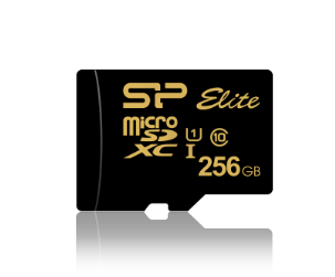 כרטיס זיכרון MicroSD HIGH ENDURANCE 4K 256GB