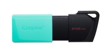 זכרון נייד Kingstone DataTraveler Exodia M 256GB USB 3.2